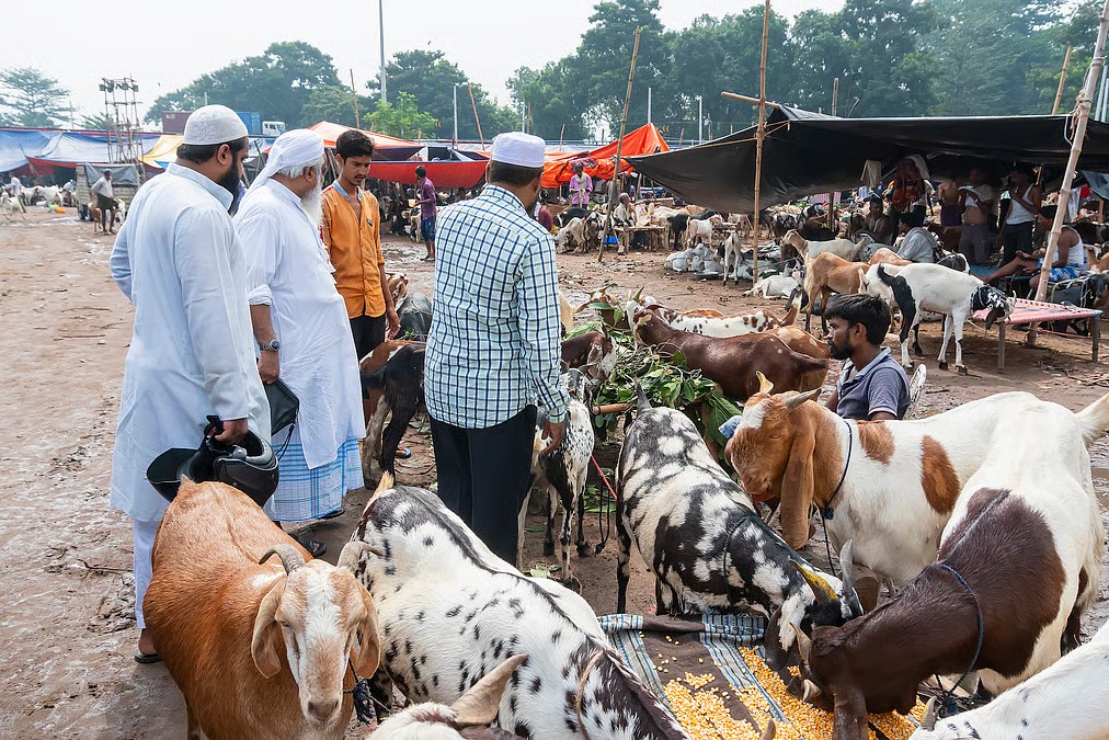 ব্রিগেডে প্রস্তুতি চলছে ঈদের নামাজের